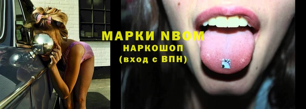 прущая мука Арсеньев
