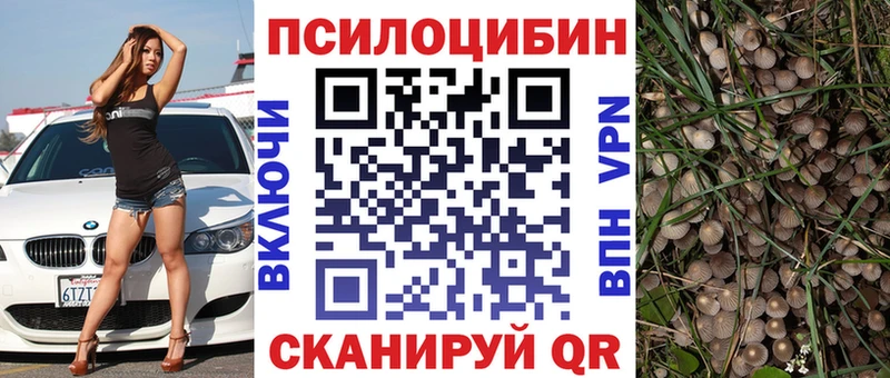 Псилоцибиновые грибы GOLDEN TEACHER  Фатеж 